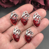 Human Heart Organ Charms