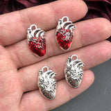 Human Heart Organ Charms