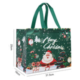 Merry Christmas Gift Bag