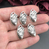 Human Heart Organ Charms