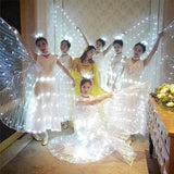 LED Glowing Butterfly Wing