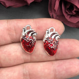 Human Heart Organ Charms