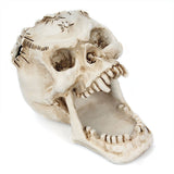 Scared Skull Pen Holder Storage Gothicq